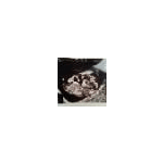 6 Weeks Pregnant Butterfly Nervous Feelings In Stomach