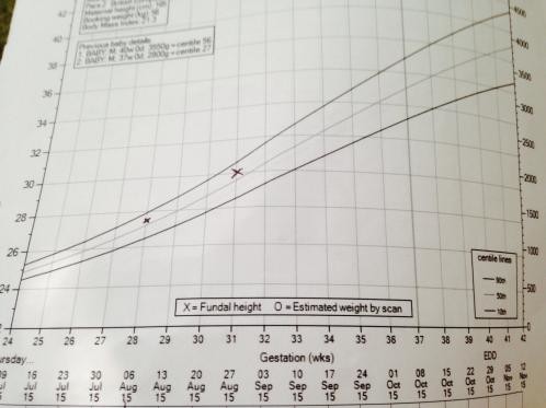 Unborn Baby Growth Percentile Chart