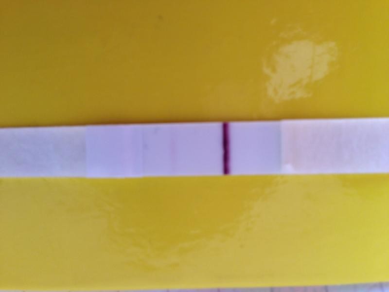 BFP or evaporation line?