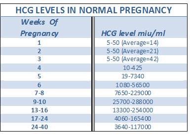 6 Weeks High Hcg Levels Netmums