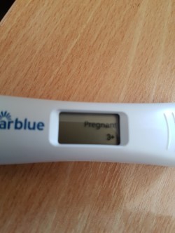 Clear Blue Test Progression Clear Blue Test Progression