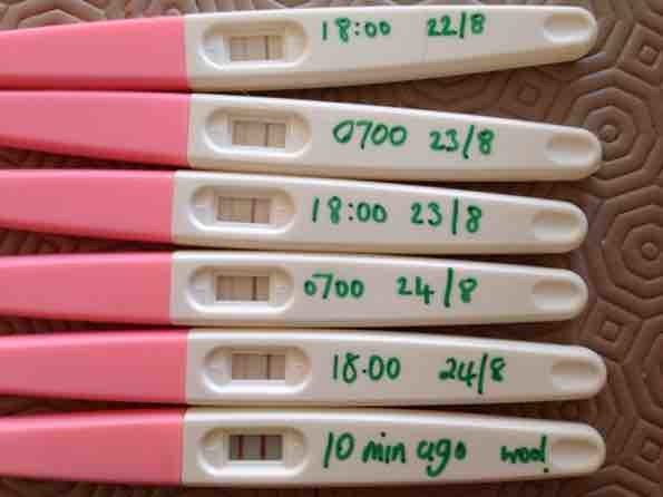 Question About Reading Results Of Ovulation Test Strip Netmums