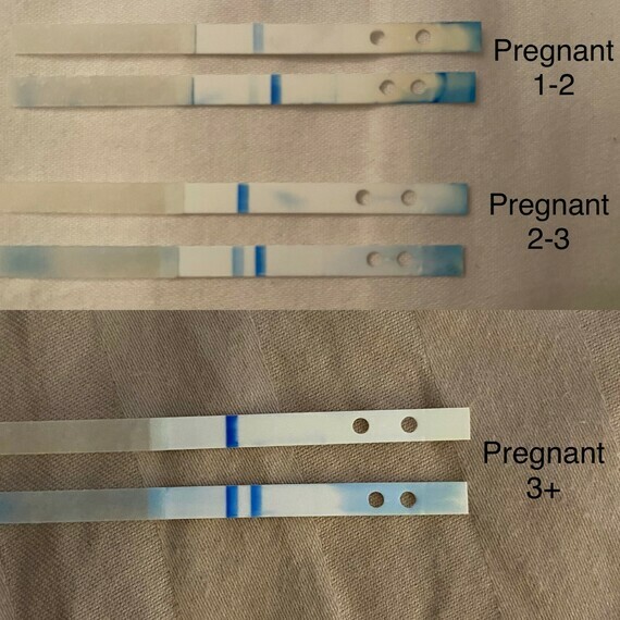 not pregnant' on clear blue digital but three lines inside? not pregnant' on clear blue digital but three lines inside?