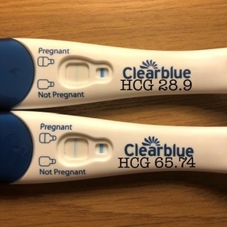 Line Progression And Clearblue Digital Line Progression And Clearblue Digital