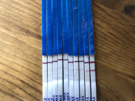 One Step Line Progression Early Pregnancy Anxiety