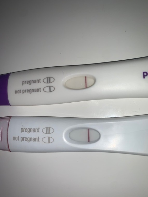 Bfp 10 Dpo Then Negative 11 Dpo Bfp 10 Dpo Then Negative 11 Dpo