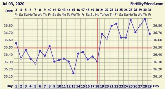 13 DPO, negative tests but BBT still high?! (Mild PCOS sufferer)