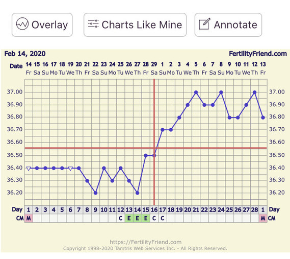 Flat Post Ovulation Chart