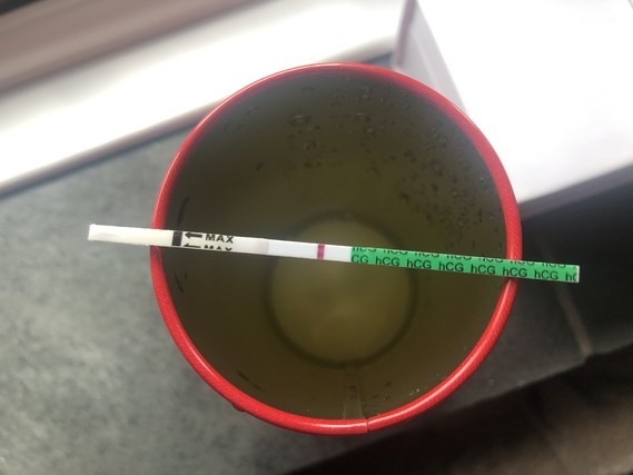 Firstvue Pregnancy Strip