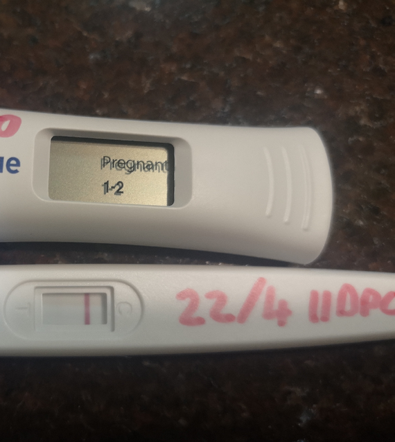 Bfp Line Progression Share Your Pictures Bfp Line Progression Share Your Pictures