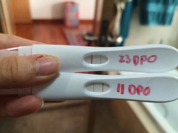 Bfp Line Progression Share Your Pictures Bfp Line Progression Share Your Pictures