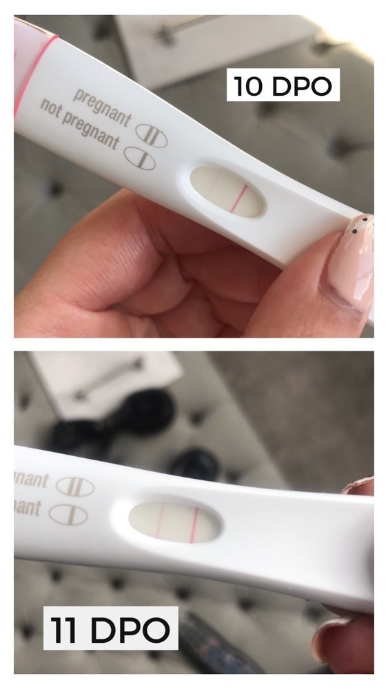 Got My Bfp Progression Got My Bfp Progression