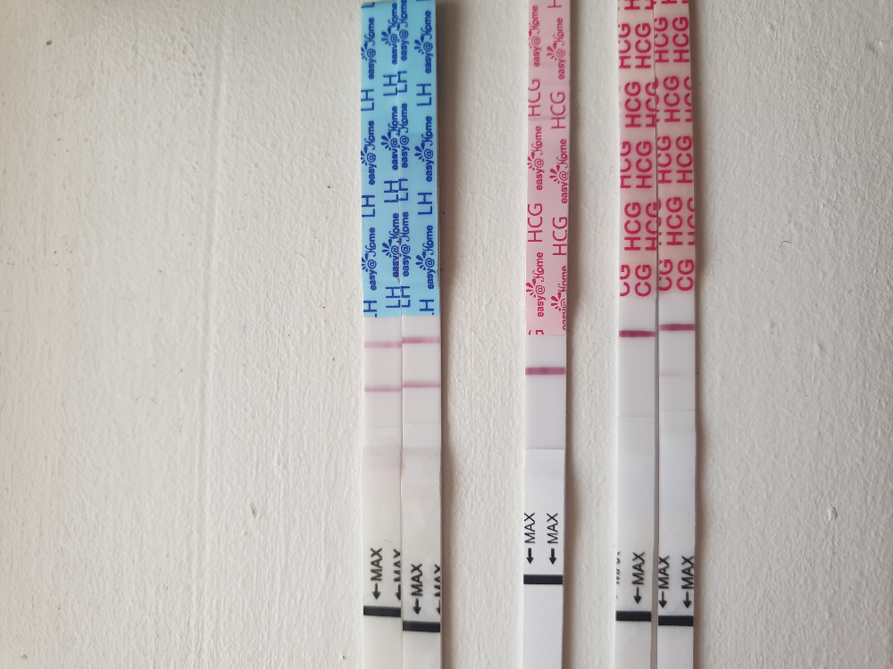 False Positive From Wondo Netmums