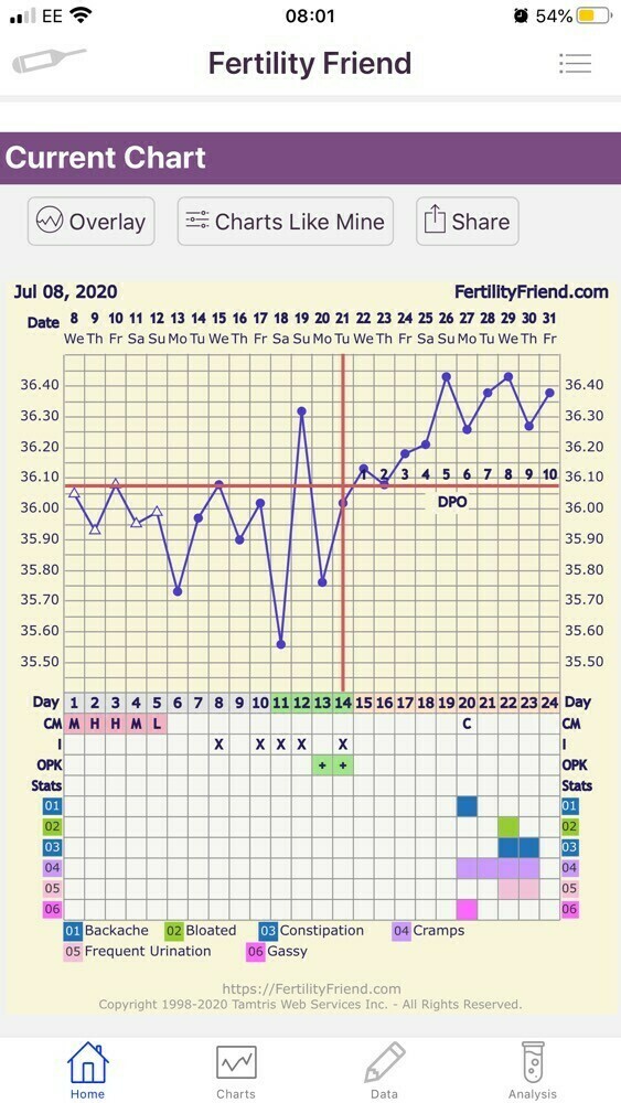 Bbt Chart Pcos