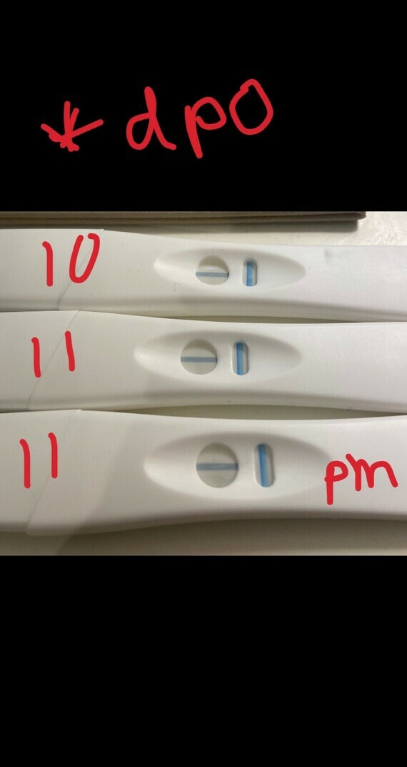 CLEAR BLUE TESTS !!!! EXPERIMENT TO PROVE ALL THESE EVAP LINES WRONG