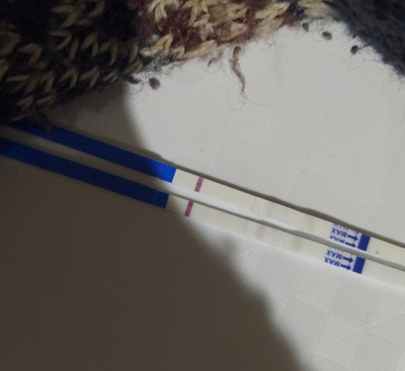 Freedom Pregnancy Tests False Positives Freedom Pregnancy Tests False Positives