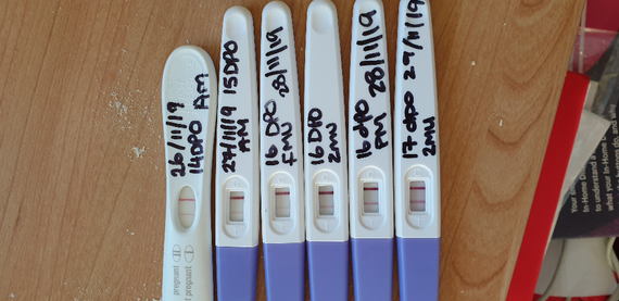 Lines Not Progressing At 16dpo