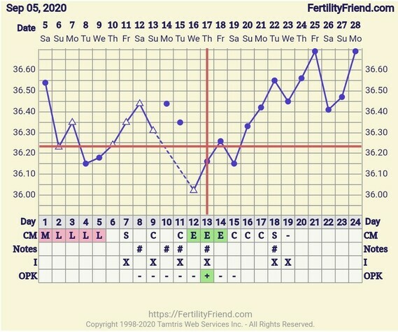 BBT chart - implantation dip?