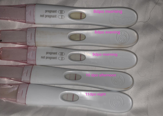 My Experience So Far 11 Dpo And My Progression Line My Experience So Far 11 Dpo And My Progression Line